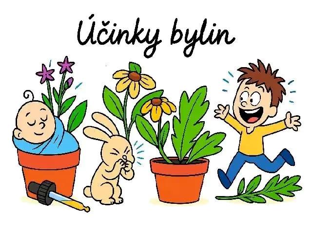 Účinky bylin